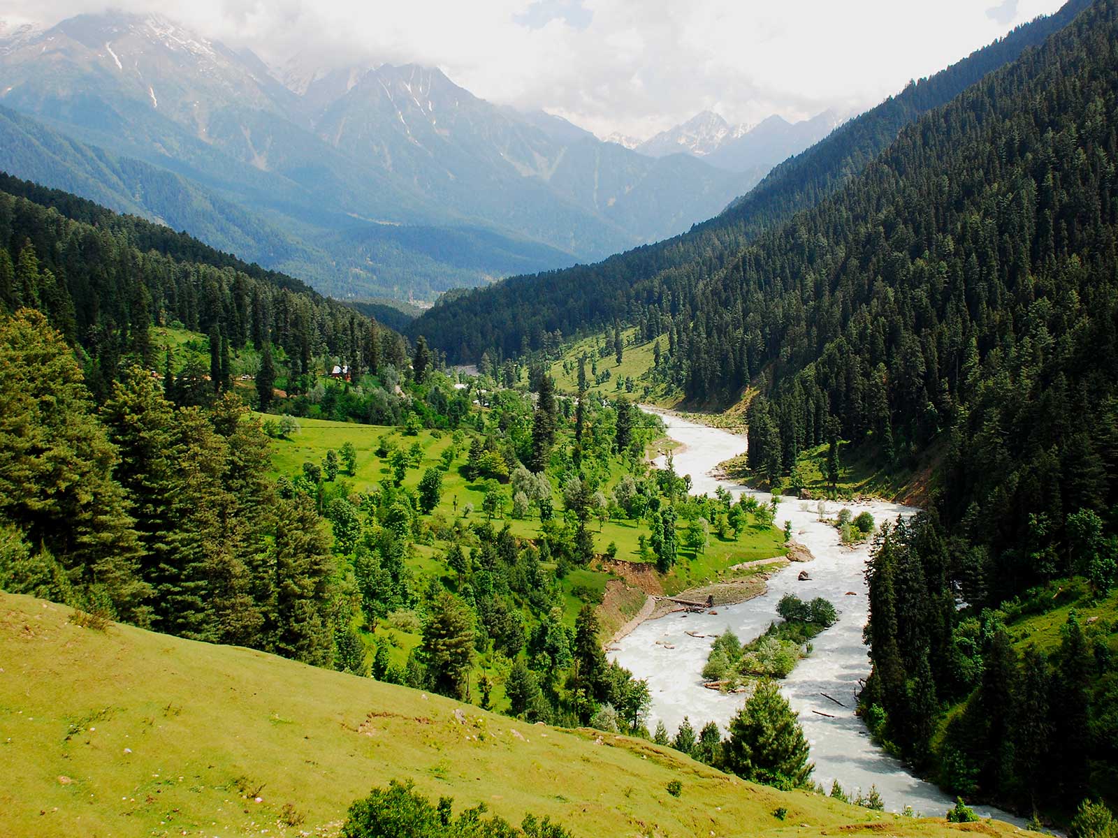 Kashmir Srinagar Dal Lake Gulmarg Pahalgam