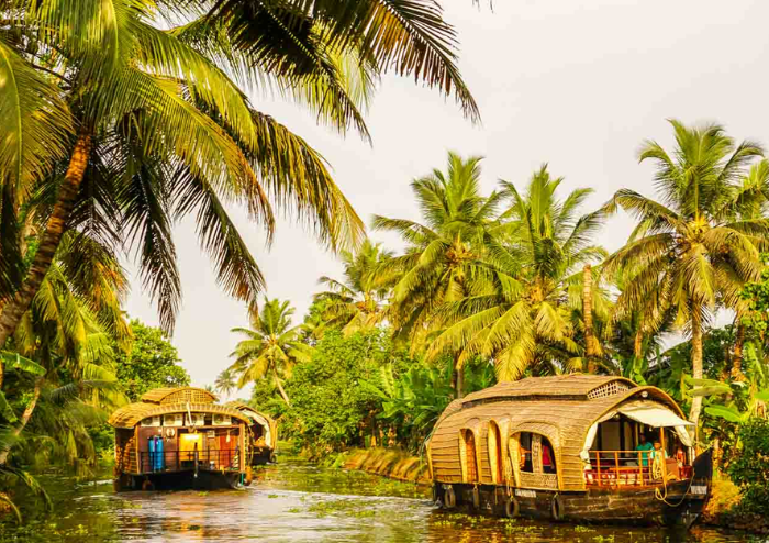 Eravikulam National Park viewpoints